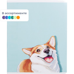 Тетрадь 48л,в ассорт.СМЕШНЫЕ СОБАКИ А5+,клетка, мягкий переплёт,ТВИН 68555