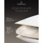 Подушка 70х70см (хл.BIODYNAMIC COTTONc/кашемир/микровол.CLIMALAST),CASHMERE