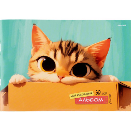 Альбом д/рисования  А4 32л. КОТИК В КОРОБКЕ  скрепка, 32-1011
