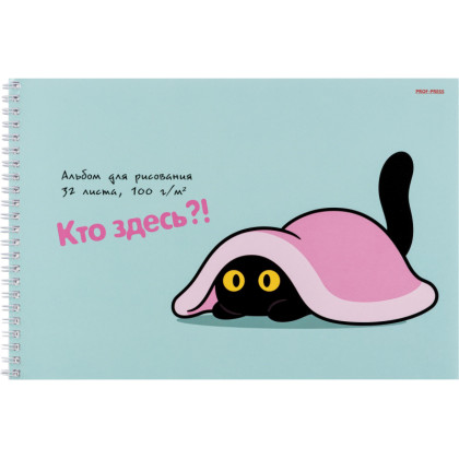 Альбом д/рисования  А4 32л. КОТИК ПОД ПЛЕДОМ греб. 32-4921