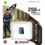 Карта памяти Kingston Canvas Go! Plus microSDXC UHS-I Cl10, SDCG3/256GBSP