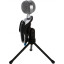 Микрофон Ritmix RDM-127 USB Black