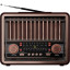 Радиоприемник Ritmix RPR-089 Redwood