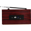 Радиоприемник Ritmix RPR-089 Redwood