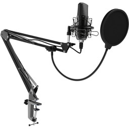 Микрофон Ritmix RDM-169 Black, cтудийный, конденсаторный, на стойке