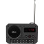 Радиоприемник Ritmix RPR-010