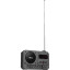 Радиоприемник Ritmix RPR-010