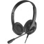 Гарнитура A4Tech Fstyler (FH100I (STONE BLACK)) черный 1.8м накладные