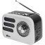 Радиоприемник Ritmix RPR-033 White