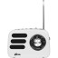 Радиоприемник Ritmix RPR-033 White