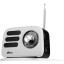 Радиоприемник Ritmix RPR-033 White