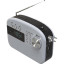 Радиоприемник Ritmix RPR-705 White