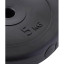 Диск пластиковый BASEFIT BB-203  5 кг, d=26 мм, черный,УТ-00019755