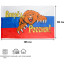 Флаг Россия вперед, с медведем 90х135 см