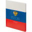Дневник Росс. шк. унив., 7БЦ, гл. лам. Россия. Триколор