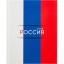 Дневник Росс. шк. унив., 7БЦ, гл. лам. Триколор