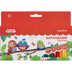 Карандаши цветные 24 цв/наб 6-гран №1School/Комус Класс ColorPics кртк,88мм