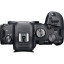 Фотоаппарат Canon EOS R6 Kit RF 24-105mm F4-7.1IS STM
