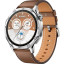 Смарт-часы HUAWEI GT 5 BROWN VLI-B19 55020DGK