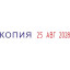 Датер автоматический с 12 бух.терминами 3,8мм S120/WD (аналог 4817) Colop