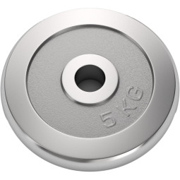 Диск хромированный UNIX Fit 5 кг / 25 мм, DU5000CE