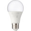 Фитолампа светодиодная LED-A60-ФИТО 15Вт 230В Е27 IN HOME