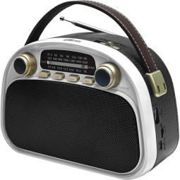 Радиоприемник Ritmix RPR-040 White