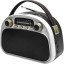 Радиоприемник Ritmix RPR-040 White