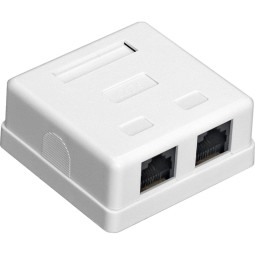 Розетка внешняя двойная ExeGate SM2-RJ45-C5 RJ-45 кат.5/5E UTP Krone/110