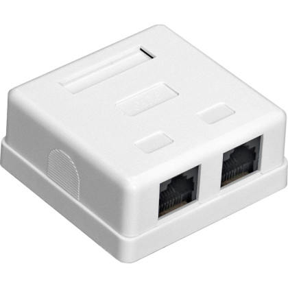Розетка внешняя двойная ExeGate SM2-RJ45-C5 RJ-45 кат.5/5E UTP Krone/110