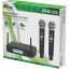 Радиосистема Ritmix RWM-222 black