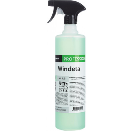 Профхим д/стекл-зеркал поверхн д/керам.плитки Pro-Brite/WINDETA,1л