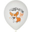 Набор шаров WHITE&amp;ORANGE Корги СДР 5шт/уп в ассортимен M 12/30см 6073138
