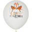 Набор шаров WHITE&amp;ORANGE Корги СДР 5шт/уп в ассортимен M 12/30см 6073138