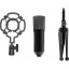 Микрофон Ritmix RDM-160 Black