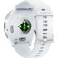 Смарт-часы Garmin VENU 3 Silver, 010-02784-00