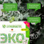 Порошок стиральный Synergetic ЭКО суперконцентрат 50 стиков