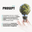 Полироль для мебели Prosept Universal Polish 0,5л