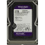 Жесткий диск Western Digital Purple 2TB, SATA, 5400rpm,64MB(WD23PURZ)