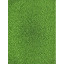 Салфетки хозяйственные из микрофибры ПУ покр 250г/м2 35х40см 5шт/уп зеленые