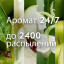 Баллон сменный для автоосвежителя Glade Automatic Свежесть утра 269мл
