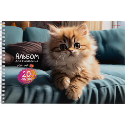 Альбом д/рисования А4 20л. ИНТЕРЬЕР С КОТЯТАМИ 2диз. 20-0999