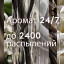 Баллон сменный для автоосвежителя Glade Восточные пряности 269мл
